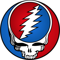 Steal Your Face says, "Vote for Joe Biden for President!"